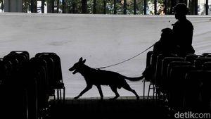Polisi Bersenjata dan Anjing Pelacak Sisir Katedral