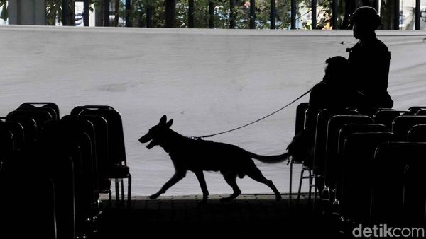 Polisi Bersenjata dan Anjing Pelacak Sisir Katedral