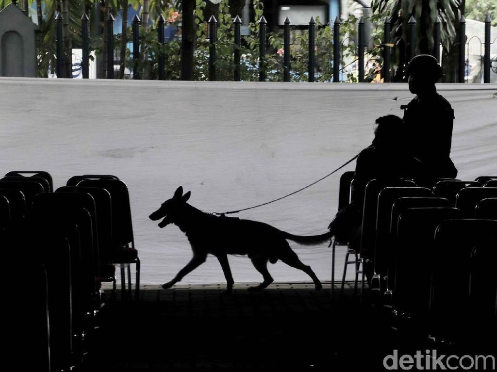 Kawanan Anjing Pelacak Tarik Perhatian Peserta CFD Kawanan Anjing Pelacak Tarik Perhatian Peserta CFD