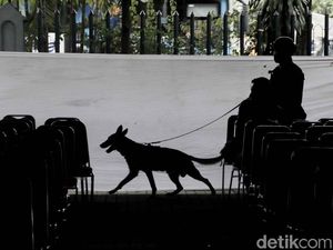 Polisi Bersenjata dan Anjing Pelacak Sisir Katedral Polisi Bersenjata dan Anjing Pelacak Sisir Katedral