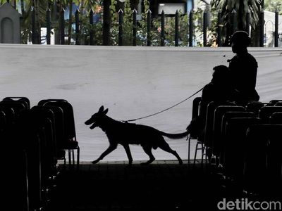 Polisi Bersenjata dan Anjing Pelacak Sisir Katedral