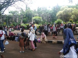 Libur Natal 2018, Warga Ramai Kunjungi Kebun Binatang Ragunan
