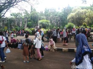 Libur Natal 2018, Warga Ramai Kunjungi Kebun Binatang Ragunan Libur Natal 2018, Warga Ramai Kunjungi Kebun Binatang Ragunan