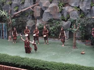 Lihat Aksi Anjing hingga Orang Utan yang Seru di Taman Safari Prigen