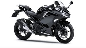 Warna Baru Kawasaki Ninja 250, Lebih Maskulin
