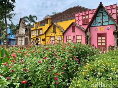 Foto: Bukan di Belanda, Ini di Jember