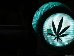 Thailand Legalkan Mariyuana Buat Keperluan Medis