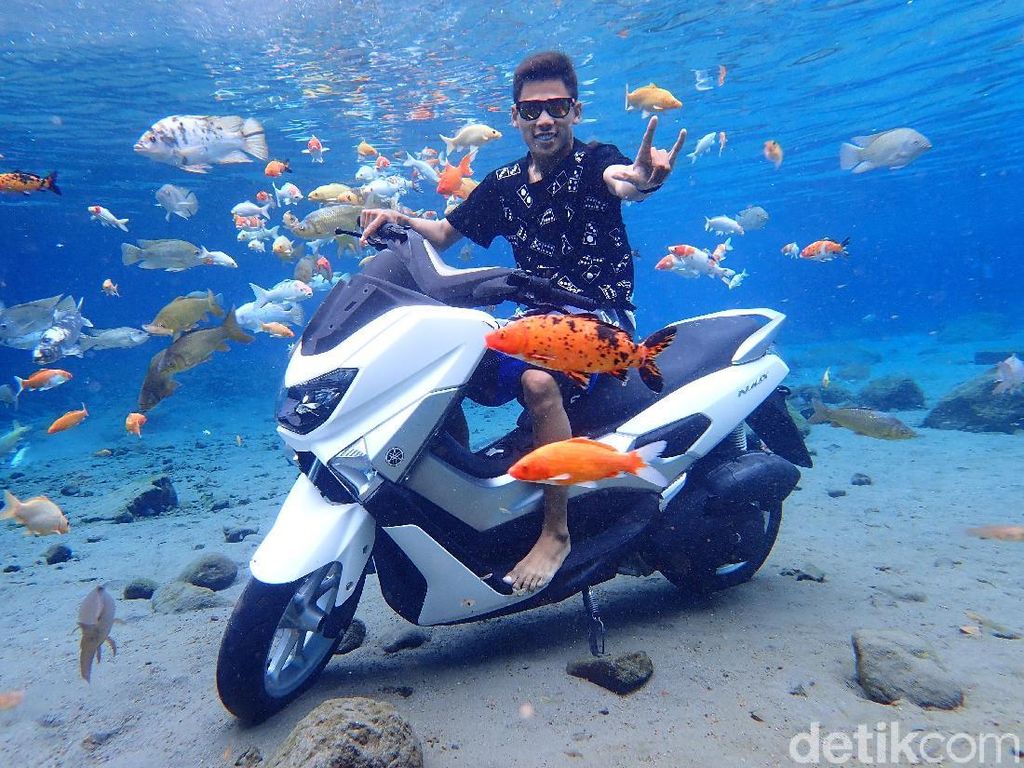 Mengenali Umbul Ponggok yang Dipuji Media Internasional Mengenali Umbul Ponggok yang Dipuji Media Internasional