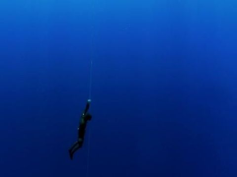 Free diving di laut lepas