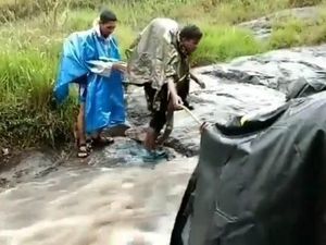 Libur Akhir Tahun Naik Gunung, Hati-hati Badai dan Hujan Libur Akhir Tahun Naik Gunung, Hati-hati Badai dan Hujan