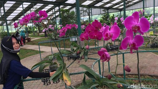 Foto: Tempat Wisata Murah Meriah di Mojokerto