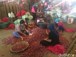 Musim Hujan, Harga Bawang Merah Dijual Rp 28.000/Kg
