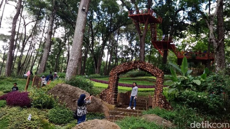 Wana Wisata Mustika Taman Anggrek di Banjar (Dadang Hermansyah/detikTravel)