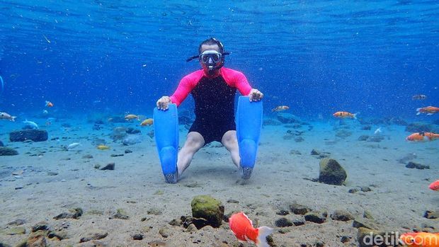 Bukan Foto di Laut, Ini Foto Bawah Air Sumber Alami di Klaten