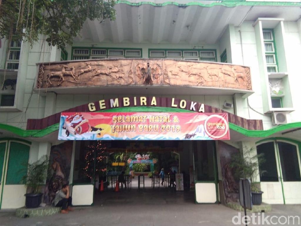 Gembira Loka Zoo Yogya Mulai Diserbu Wisatawan Gembira Loka Zoo Yogya Mulai Diserbu Wisatawan