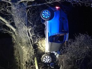 Duh! Kok Bisa Mobil Ini Tersangkut di Pohon?