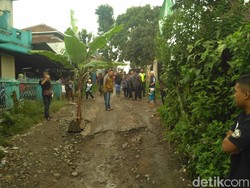 Protes, Warga Bandung Barat Tanami Pohon Pisang di Jalan Berlubang