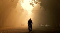 Penampakan Darurat Polusi Udara di India