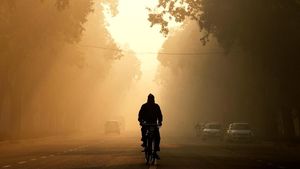 Penampakan Darurat Polusi Udara di India