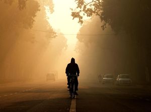 Penampakan Darurat Polusi Udara di India