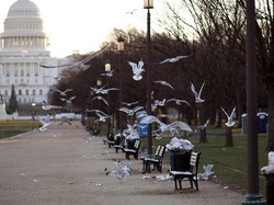 Fakta di Balik Tutupnya Pemerintahan Trump