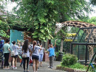 Foto: Asyiknya Libur Tahun Baruan di Maharani Zoo