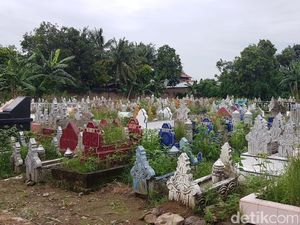 Cling! Kebun Jagung yang Tumbuh di Kuburan Pinrang Sudah Bersih