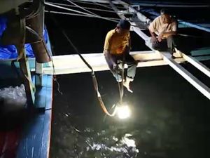 Pakai Lampu Ikan Buatan KKP, Nelayan Dapat Tangkapan 4 Kali Lipat Pakai Lampu Ikan Buatan KKP, Nelayan Dapat Tangkapan 4 Kali Lipat