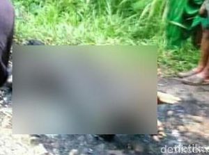 Kades Probolinggo Provokasi Warganya Bakar Hidup-hidup Maling Motor Kades Probolinggo Provokasi Warganya Bakar Hidup-hidup Maling Motor