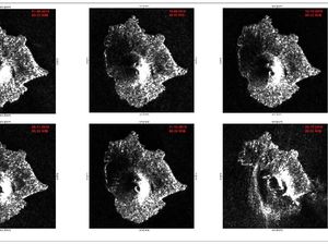 Gunung Anak Krakatau Longsor 64 Hektare, Begini Bentuknya Sekarang