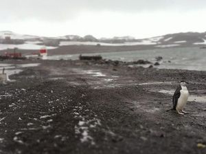Hidup di Kota Ini, Harus Operasi Usus Buntu dan Jangan Hamil