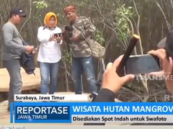 Alternatif Wisata Tahun Baru: Hutan Mangrove Surabaya