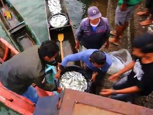 6.204 Nelayan Dapat Kucuran Modal Rp 201 Miliar