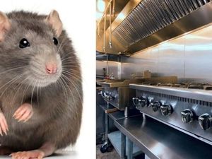 Hii! Ini 5 Hal Menjijikkan yang Terjadi di Restoran Tahun 2018