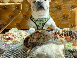 Gemasnya! Begini Pose Keren 8 Hewan Foodie Gemasnya! Begini Pose Keren 8 Hewan Foodie