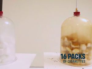 Eksperimen Ini Tunjukkan Bukti Visual Dampak Vape Vs Rokok Konvensional