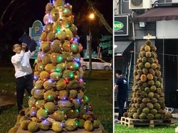 Netizen Pamer Pohon Natal Paling Mahal, Ada Pohon Minyak Goreng!