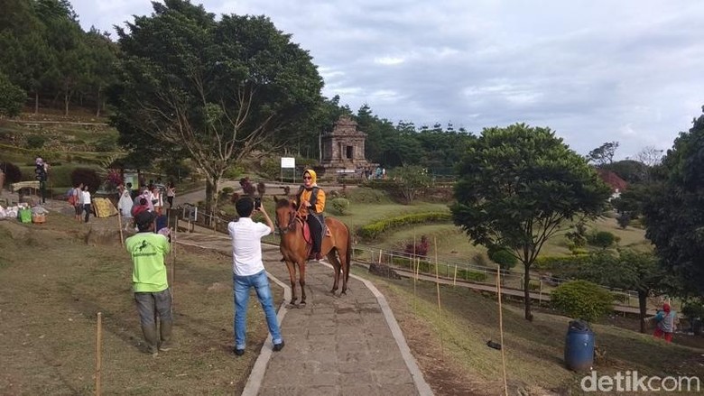 Berkuda di Candi Gedong Songo (Eko Susanto/detikTravel)