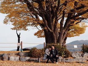 Menikmati Musim Gugur Romantis di Korea Selatan Menikmati Musim Gugur Romantis di Korea Selatan