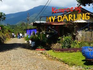 2 Destinasi Cantik untuk Sambut Tahun Baru di Garut