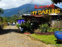 2 Destinasi Cantik untuk Sambut Tahun Baru di Garut