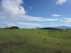 Fulan Fehan, Savanna nan Magis di Tapal Batas