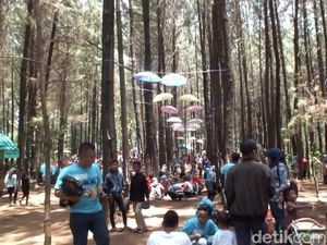 Foto: 2 Tempat Hits di Garut untuk Liburan Tahun Baru