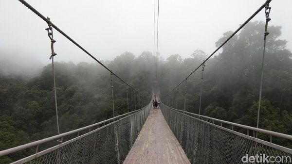 Foto: Jembatan Gantung Situ Gunung yang Viral di Medsos