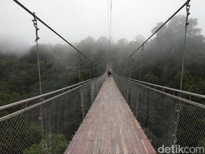 Foto: Jembatan Gantung Situ Gunung yang Viral di Medsos
