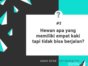10 Tebak-tebakan untuk Uji Ketajaman Otak, Bisa Jawab Cepat? 10 Tebak-tebakan untuk Uji Ketajaman Otak, Bisa Jawab Cepat?