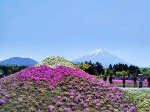 Liburan Seminggu di Jepang Cuma Habis Rp 6,5 Juta, Baca Ini Dulu Liburan Seminggu di Jepang Cuma Habis Rp 6,5 Juta, Baca Ini Dulu