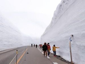 Foto: Cuma di Jepang, Ada Dinding Salju Setinggi 20 Meter!