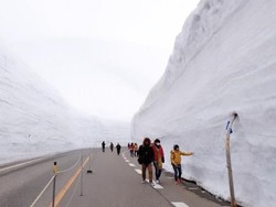 Foto: Cuma di Jepang, Ada Dinding Salju Setinggi 20 Meter!