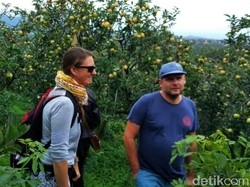 Cari Homestay Pakai Aplikasi, Kenapa Nggak?